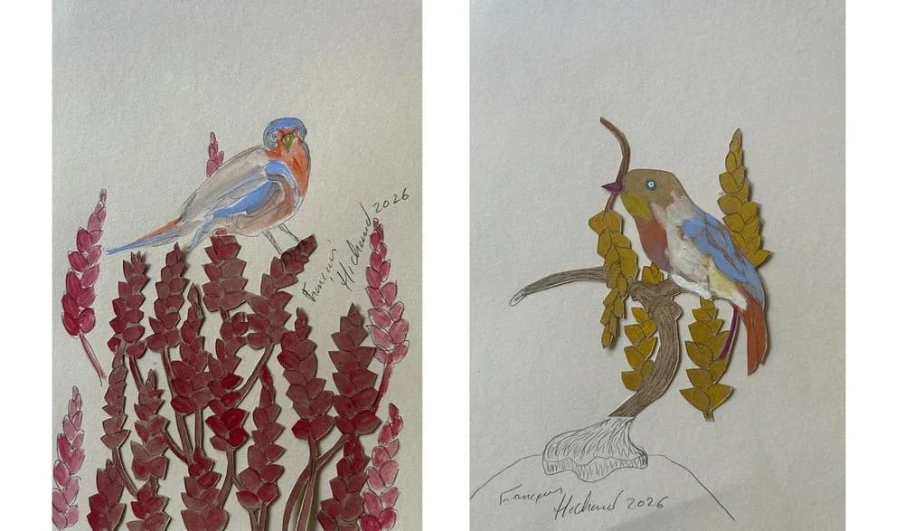 Dessins n°3 et 4