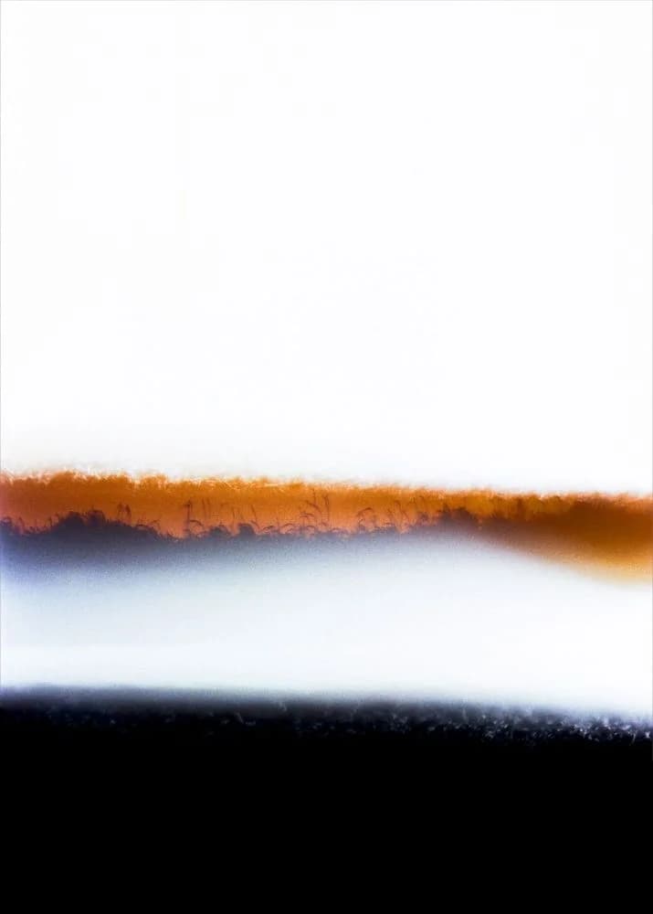 Horizon radicalisé — Guillaume CHAPLOT