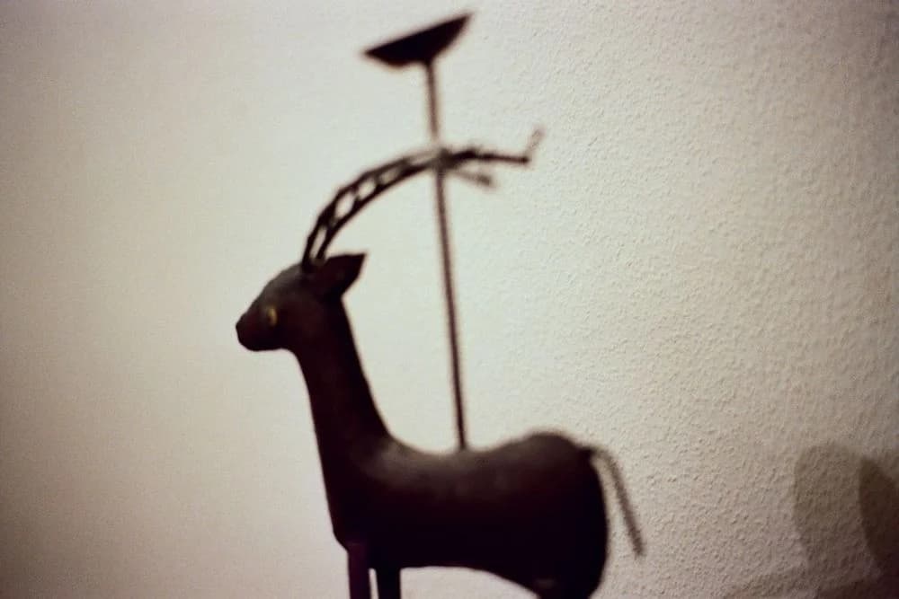 Lauzanne — Guillaume CHAPLOT