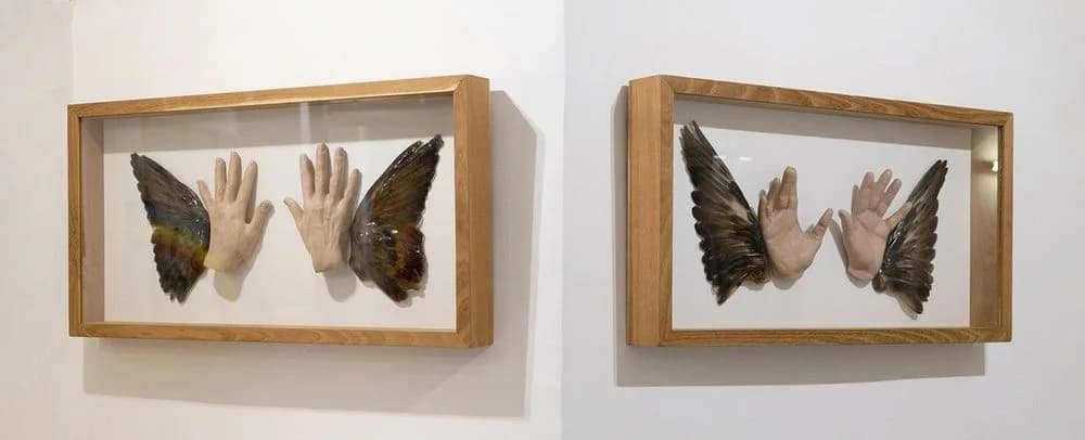 Je survis je survole 1 & 2 — Elisa FANTOZZI