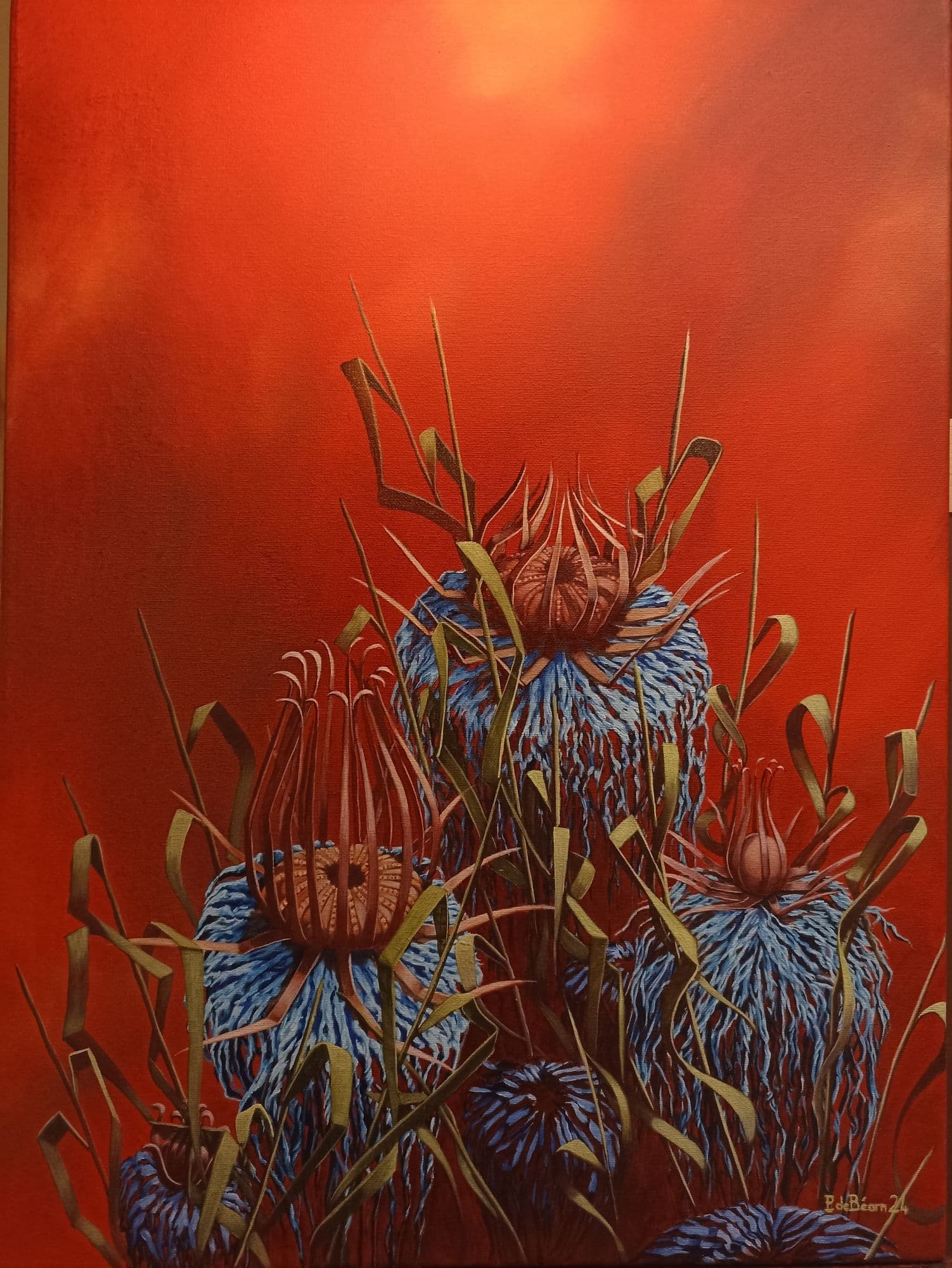 Pourquoi pas fleur