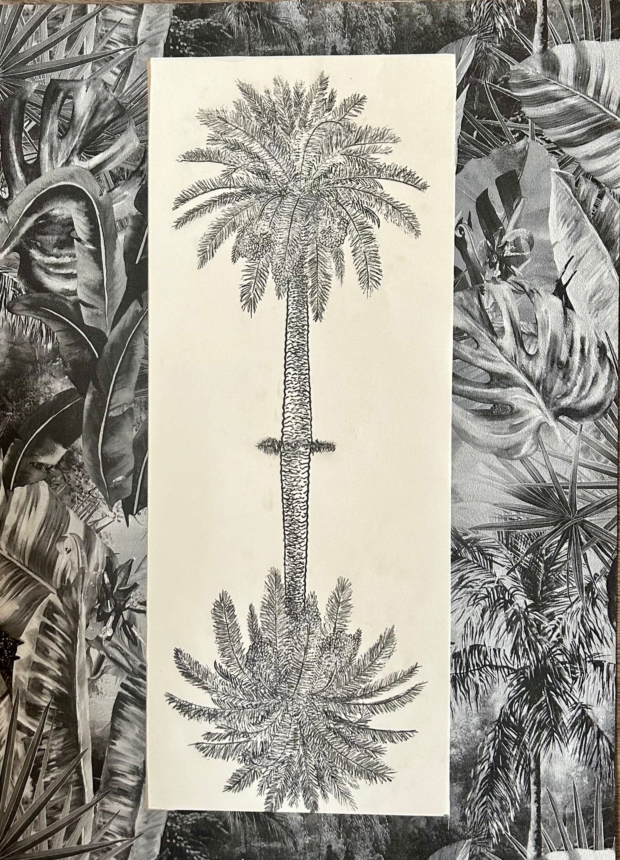 Palmiers marie-louise — Gilles Bingisser